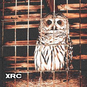 Sw(Er) (Instrumental)