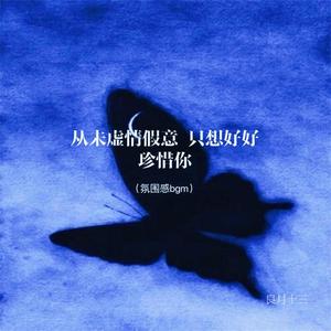 从未虚情假意 只想好好珍惜你 (氛围感bgm)