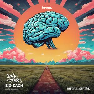 Drugs or Shoes (feat. Kanser, Big Zach, Musab & UnicusHarry) (Reprogrammed Instrumental)