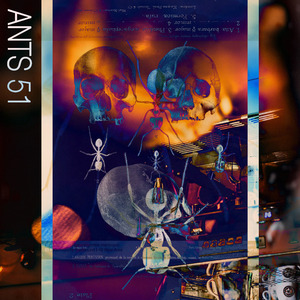 Ants 51