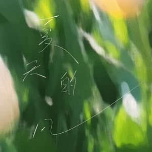 夏天的风（原唱: 温岚）