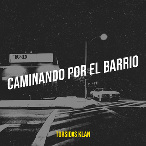 Caminando Por El Barrio