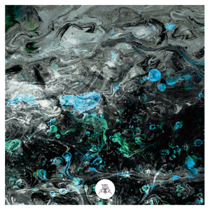 Daisies on the Coast Road