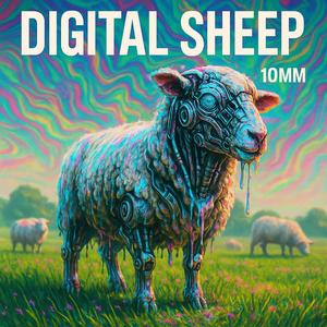 DIGITAL SHEEP