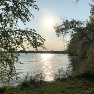 A Look Into the Future