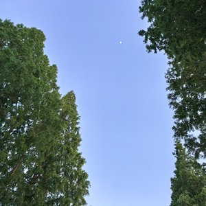 玻露