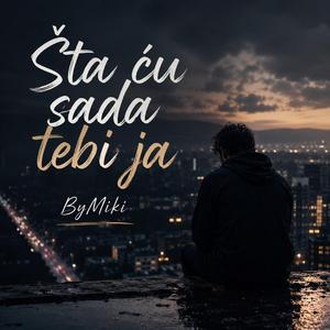 Šta ću sada tebi ja