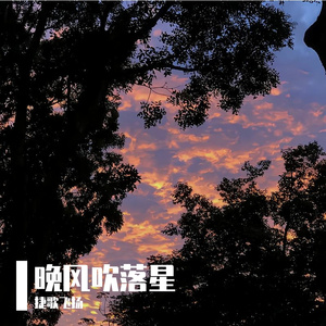 晚风吹落星