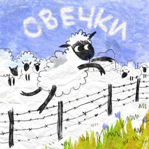 Овечки
