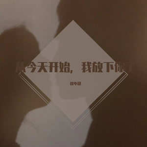 从今天开始，我放下你了