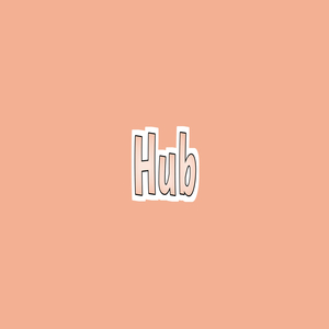 Hub