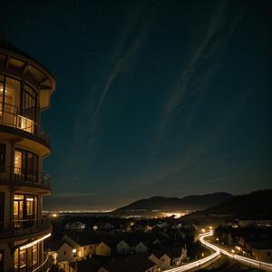 胡居士卧病遗米因赠