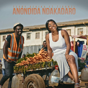 Anondida Ndakadaro (feat. Ti Gonzi)