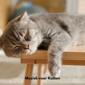 Zachte Pootmelodieën