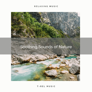 Virgin Brook Music