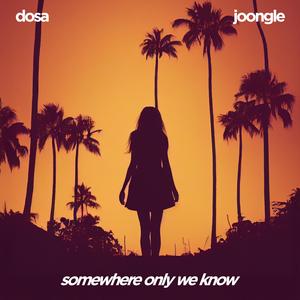 Somewhere Only We Know