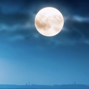 我在月光下等你 (1)