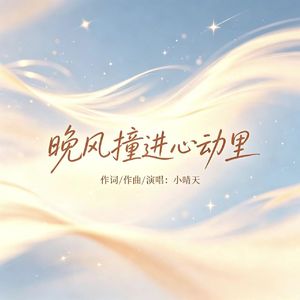 晚风撞进心动里