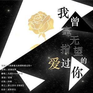 我曾经毫无指望的爱过你