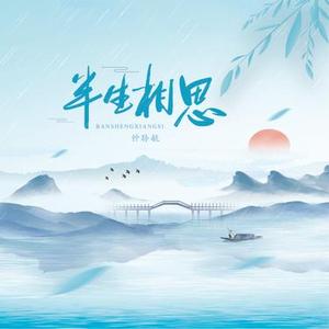 半生相思 (DJ版)