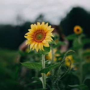 追逐梦想的路上