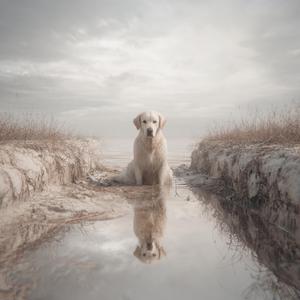 Weathering Song