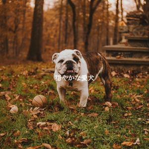 Beautiful Golden Dreams