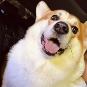 在落日余辉中心动