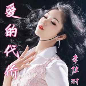 爱的代价 (DJ欧东版伴奏)