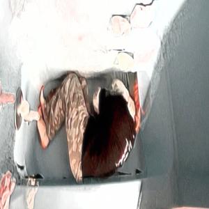 Lubbock is going to eventually kill me