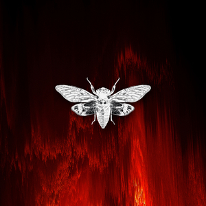 We'll Never Be Apart