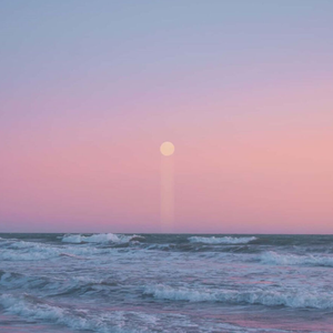 你像风一样的自由且温柔