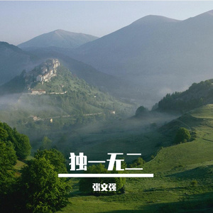 错失良机