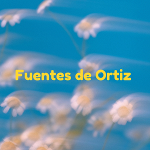 Fuentes de Ortiz