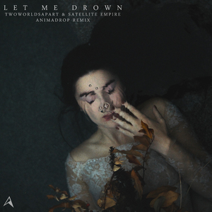 Let Me Drown (Animadrop Remix)