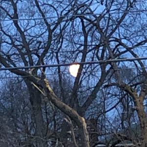 I hate when GIRLS die