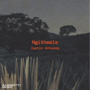Ngithwele
