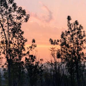 离开你的城市后