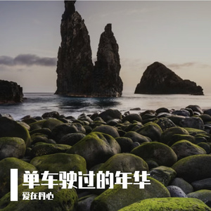 蒲公英携带宇宙信件