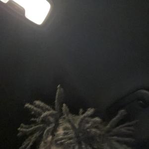 Paparazzi (freestyle)