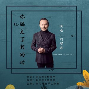 你骗走了我的心