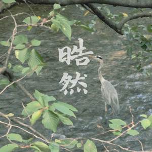 鷺 (heron)