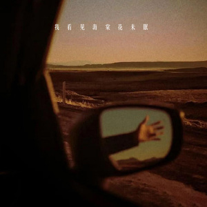 我看见海棠花未眠