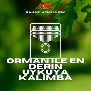 Rahatlatıcı müzik