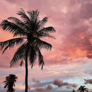 Feel Me（prod Bubbleboy）