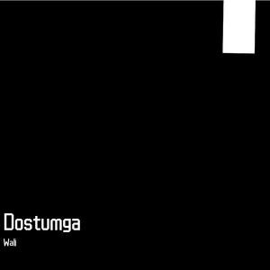 Dostumga