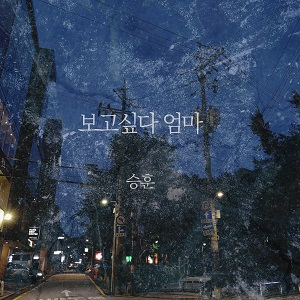 보고싶다 엄마 (Miss You, Mom)