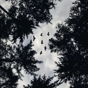 欢快知音