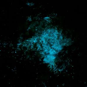 如果可以（如果可以去到你去过的地方）