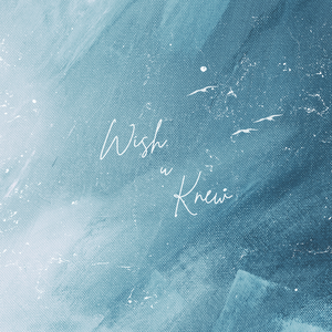 Wish U Knew (Acoustic)